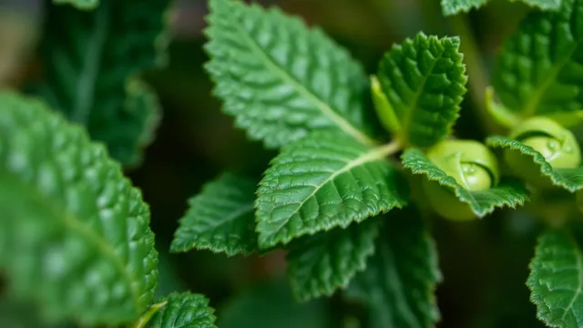 Zdravi obroki, ki jih lahko enostavno odnesete v službo